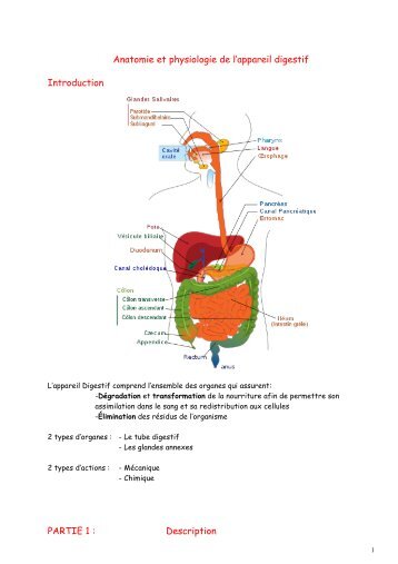 TÉLÉCHARGER ANATOMIE ET PHYSIOLOGIE HUMAINE MARIEB ANATOMIE ET PHYSIOLOGIE HUMAINE MARIEB